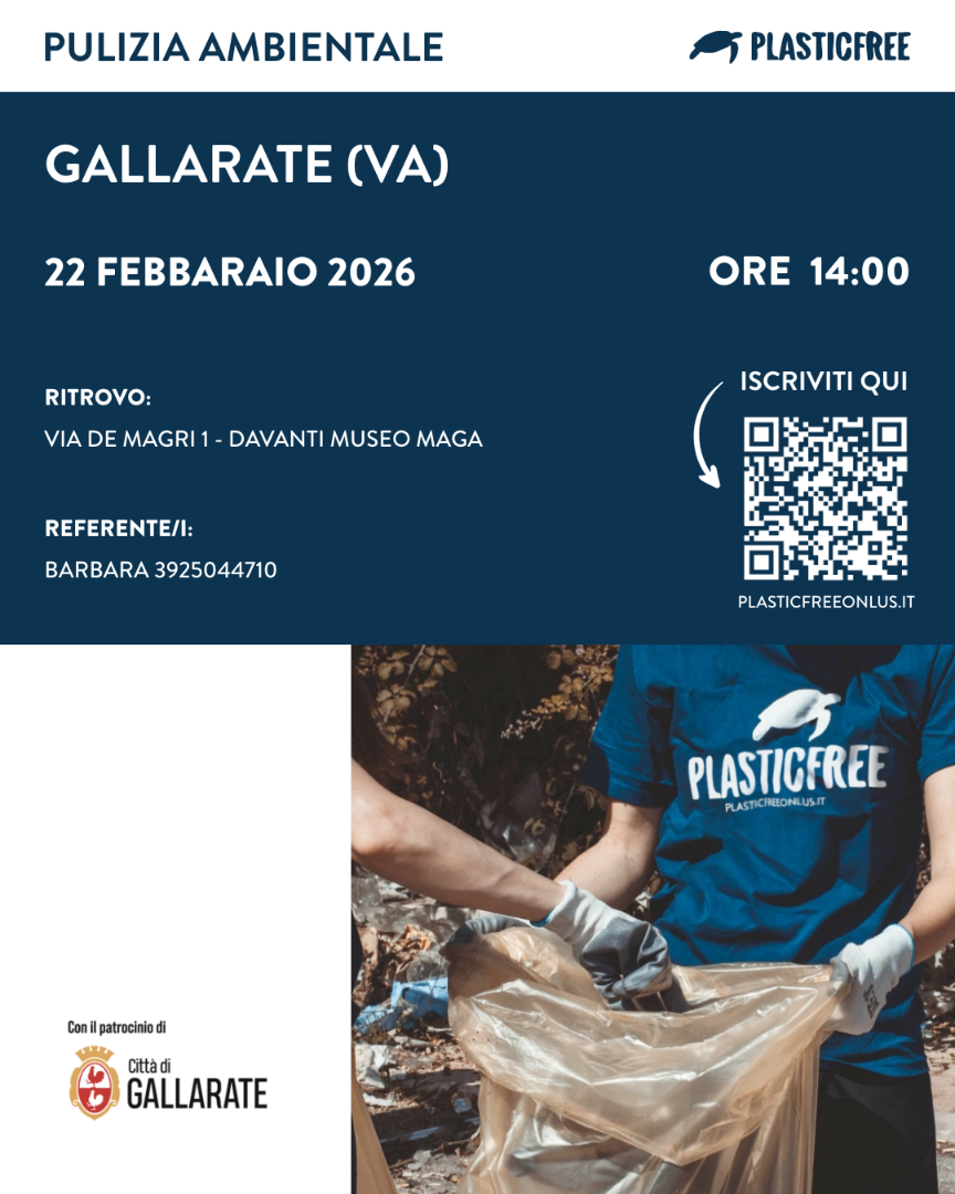 1770998032418_gallarate